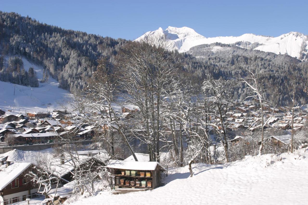Cordee Cote Sud Διαμέρισμα Morzine Εξωτερικό φωτογραφία